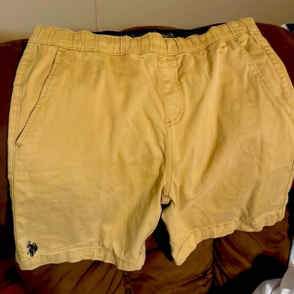 Adult men M polo khaki shorts